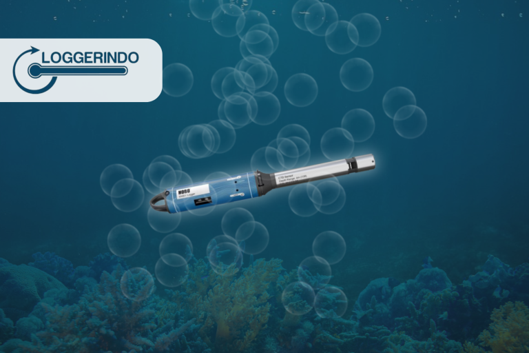 Berkenalan Dengan MX801 Submersible Logger