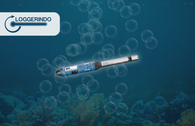 Berkenalan Dengan MX801 Submersible Logger