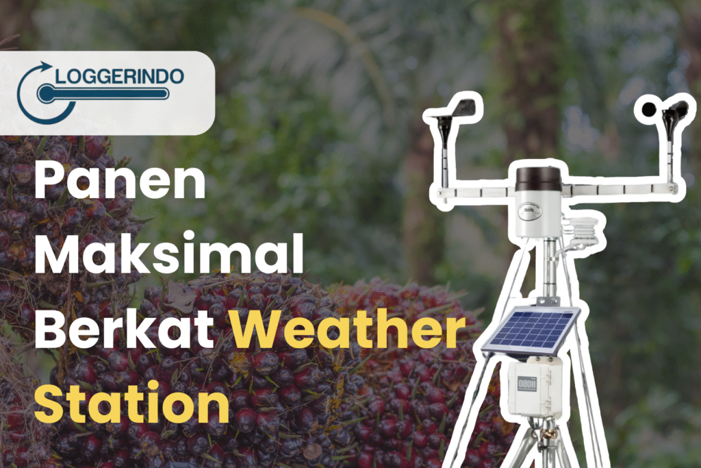 Weather Station pada Perkebunan Sawit untuk Meningkatkan Produktivitas Tanaman