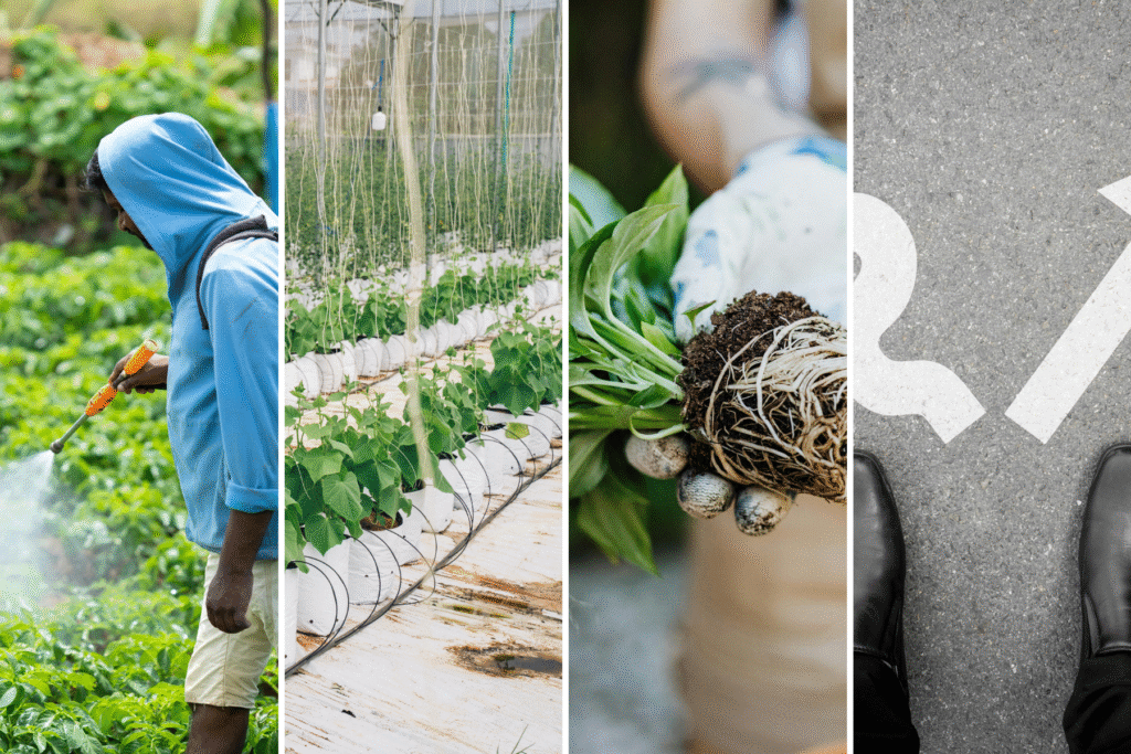 Weather station pada agrikultur - pengaplikasian weather station loggerindo