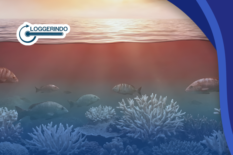Marine Heatwave: Ancaman Gelombang Panas Laut Berbahaya