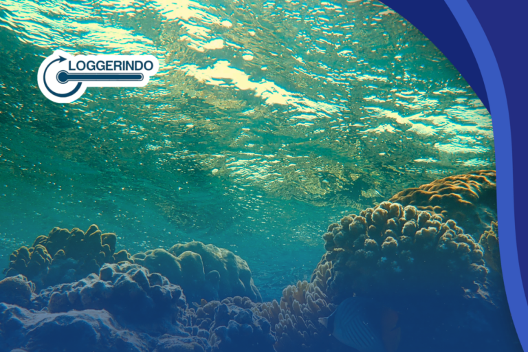 Marine Heatwave Adalah Gelombang Panas Laut Yang Berbahaya