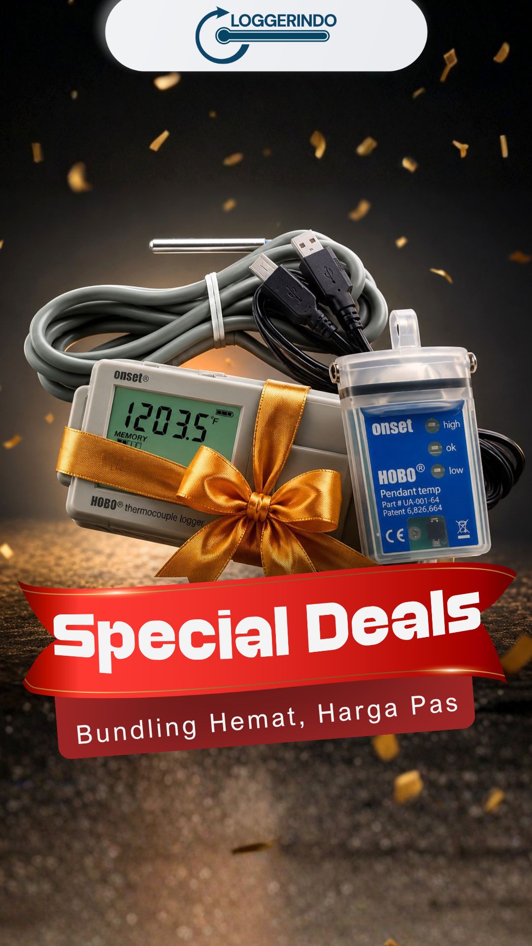 Banner promo Special Deals Loggerindo